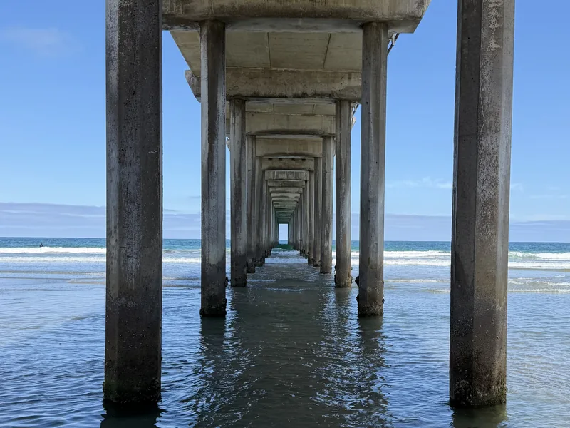 Under Scripps Pier, La Jolla